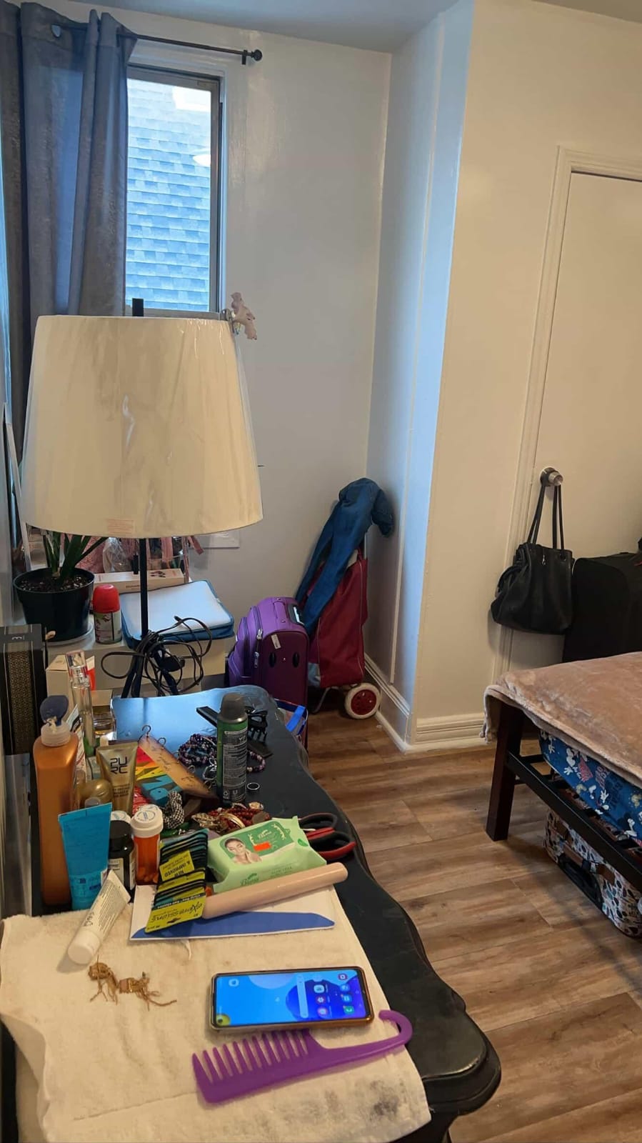 Cozy Furnished Room in East Elmhurst – Close to Transportation and Everything You Need!