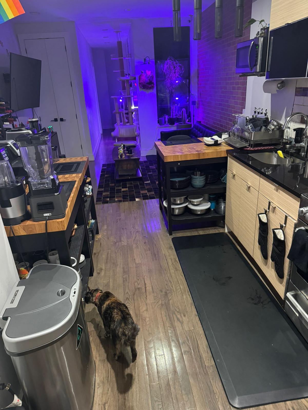 Compact Room for a man in Ridgewood – Convenient Location with Great Amenities