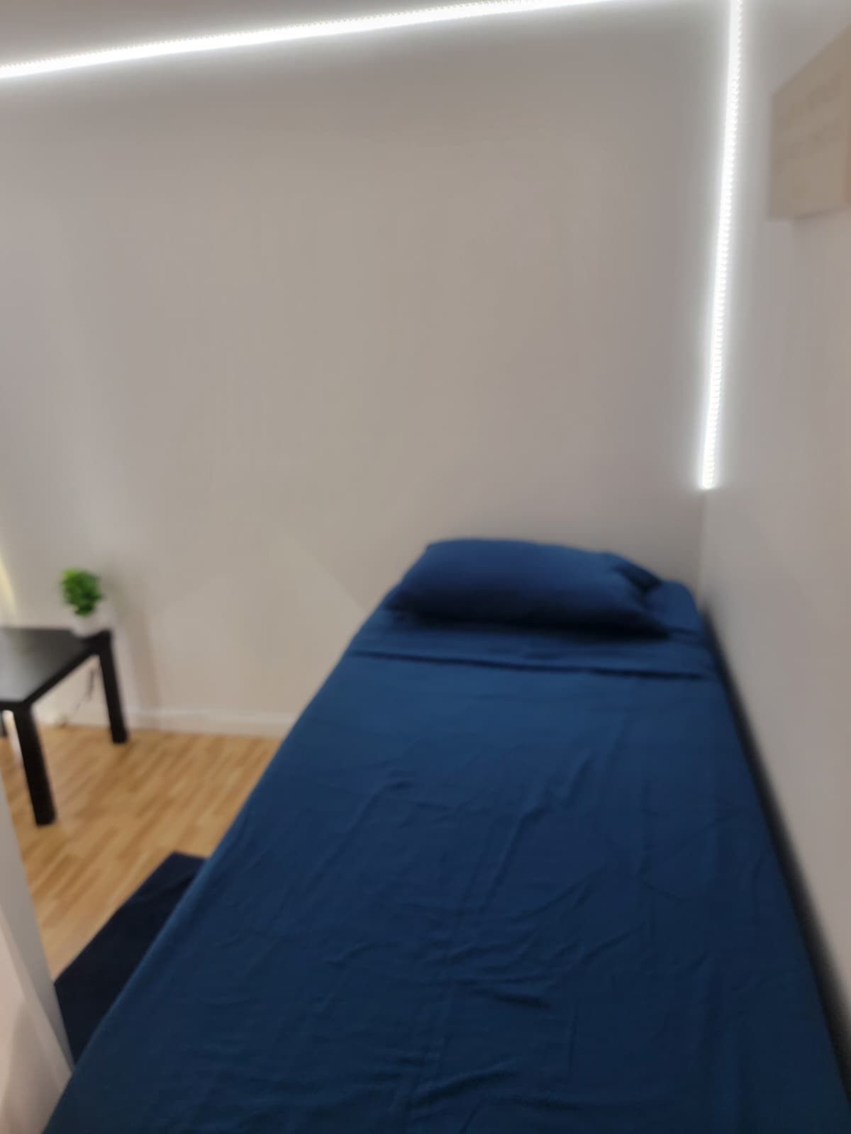 Cozy and affordable room in Maspeth