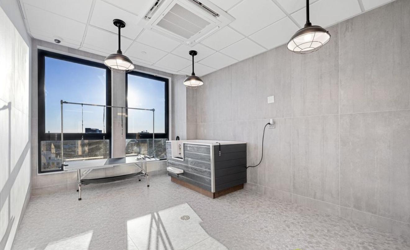 Studio recién construido - Flatbush