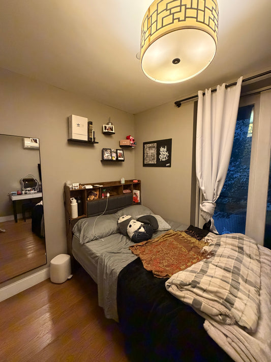 Private Room in a Renovated Apartment in Bushwick, Close to the Train