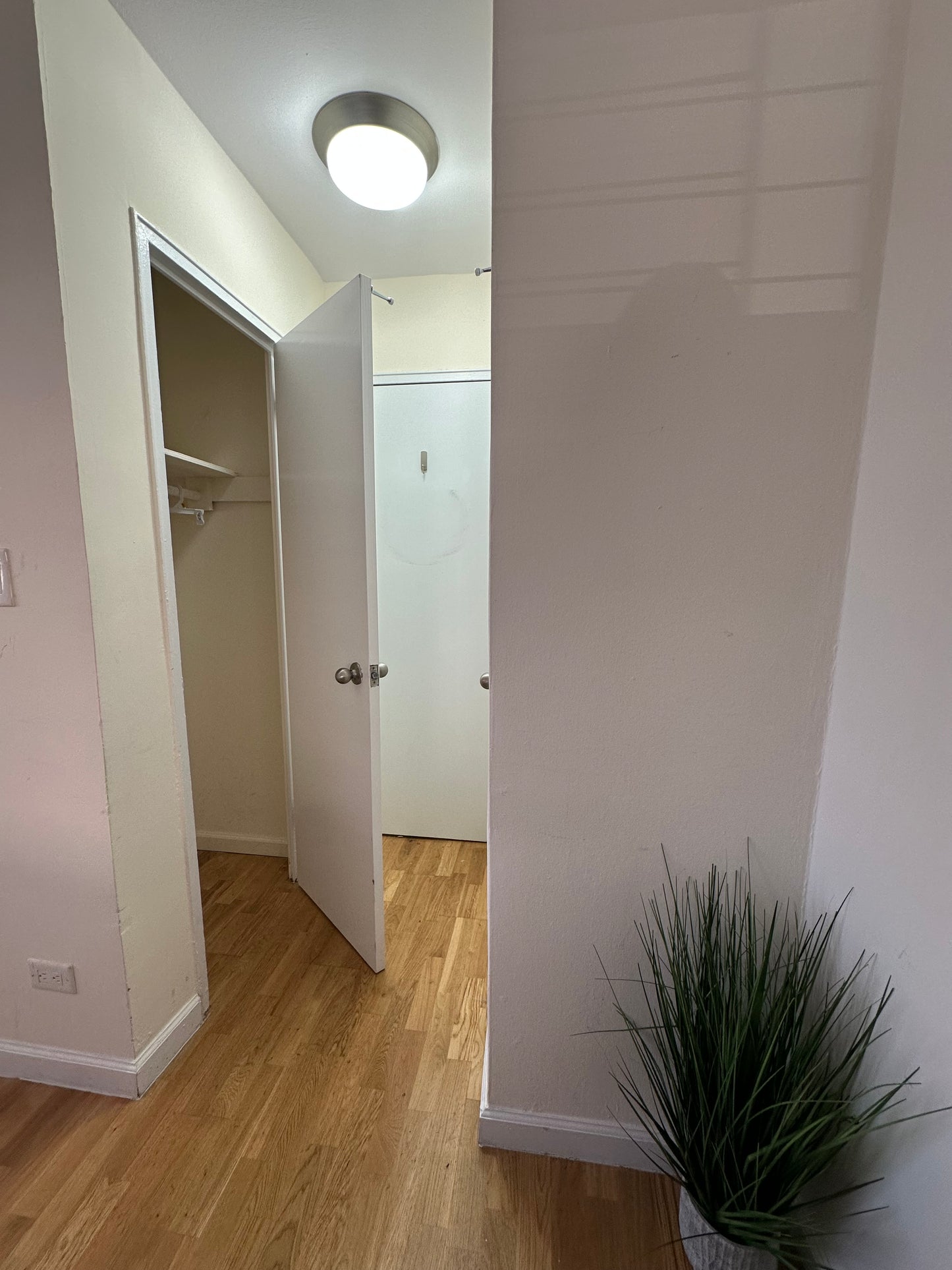 Bright room for rent in a complex with a pool