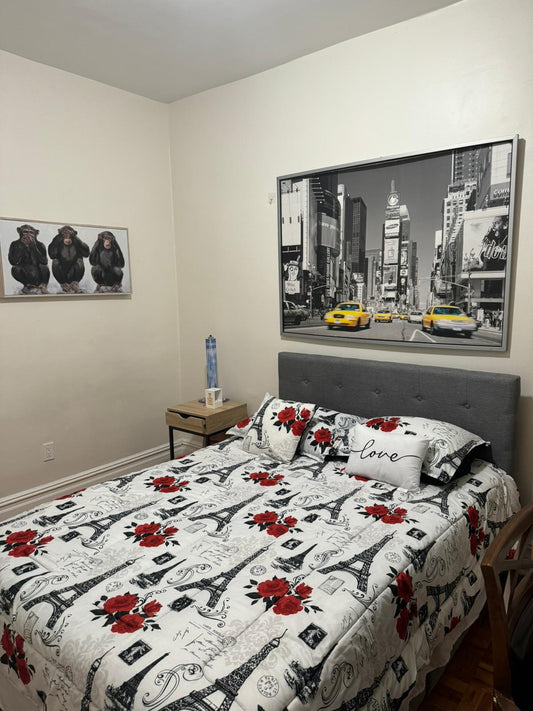 Furnished Spacious Room in Astoria – Close to Manhattan