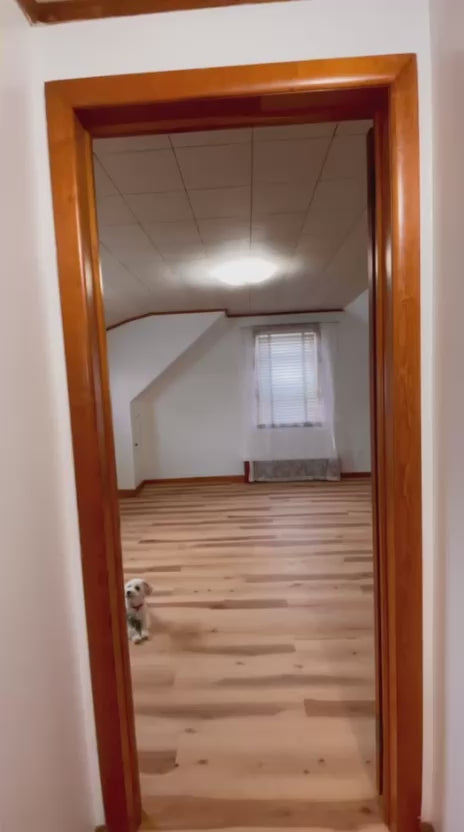 Beautiful Private Room in Basement