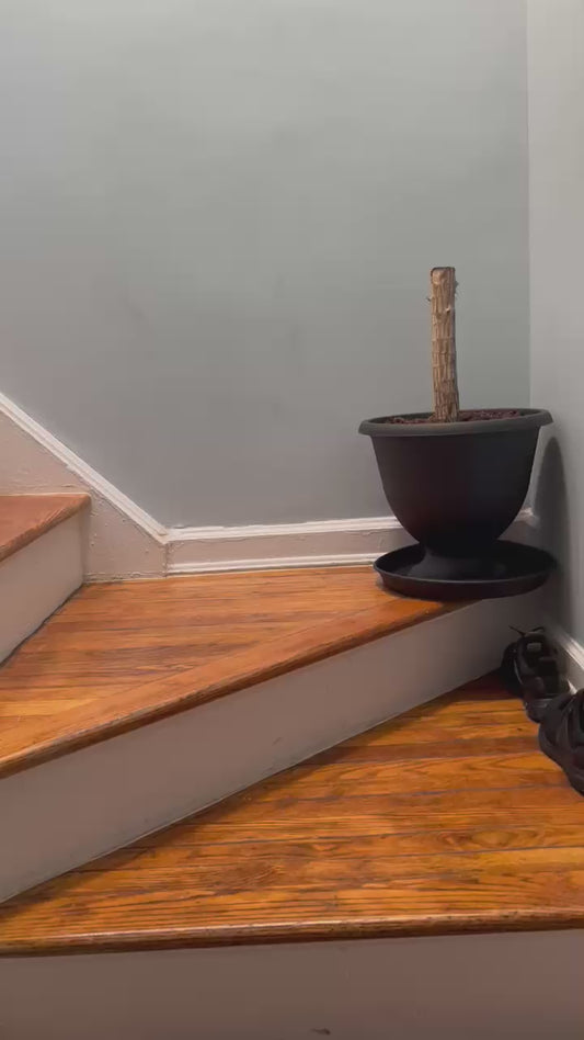 Habitacion privada disponible, en el área de East Elmhurst.