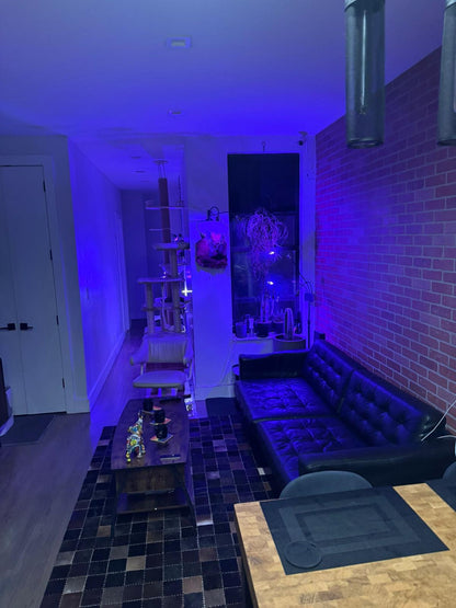 Compact Room for a man in Ridgewood – Convenient Location with Great Amenities